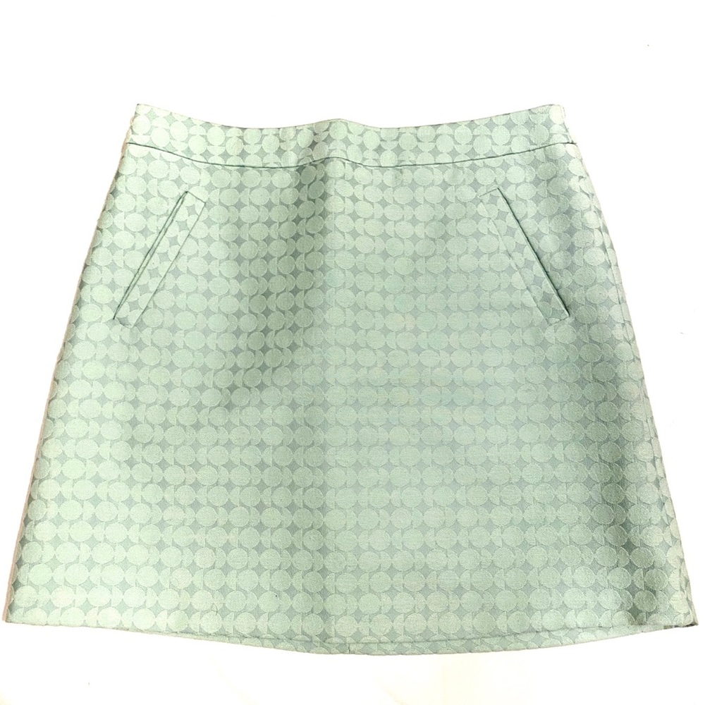 The Limited Mini Skirt